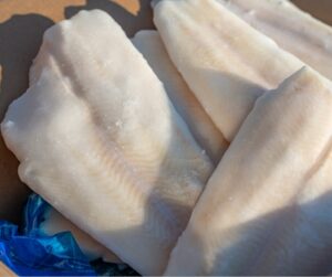 Halibut - karton 5kg